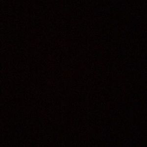 Meet your Posher, Sophia